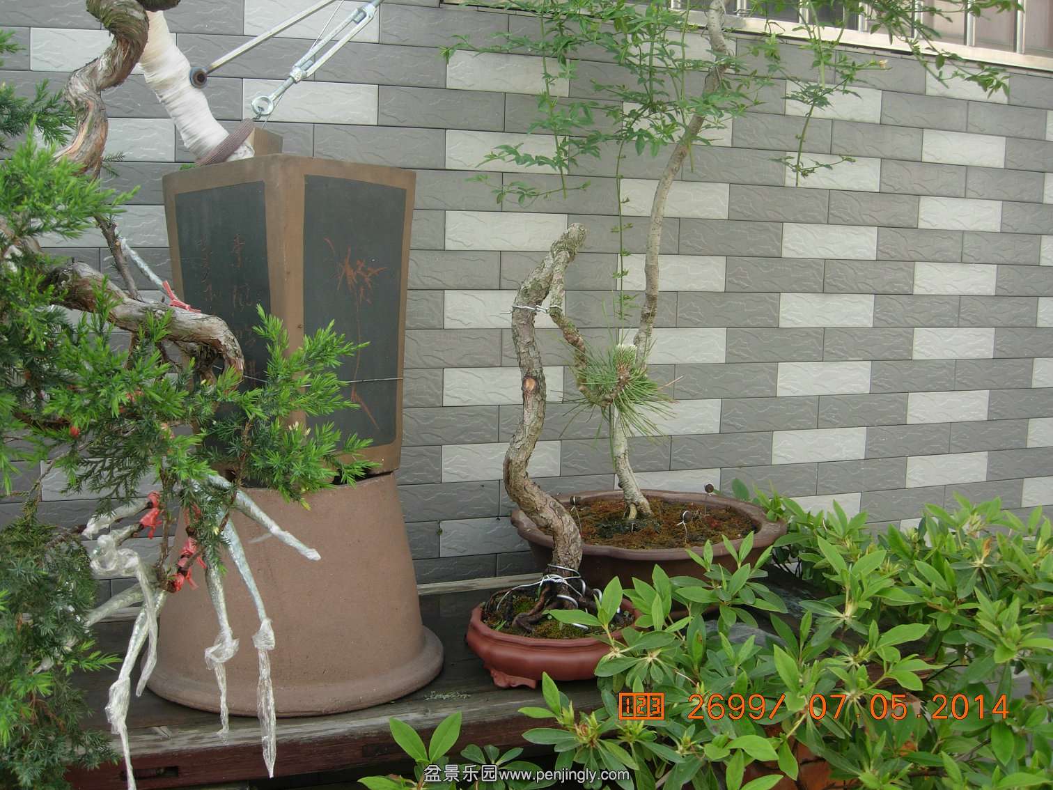 DSCN7361.JPG