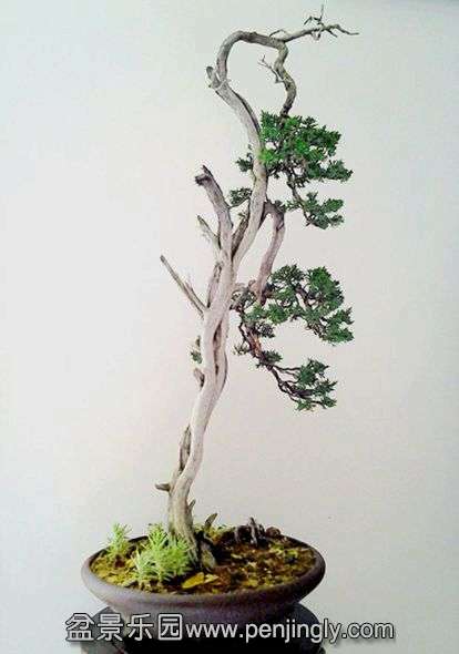 20140507_132411.jpg
