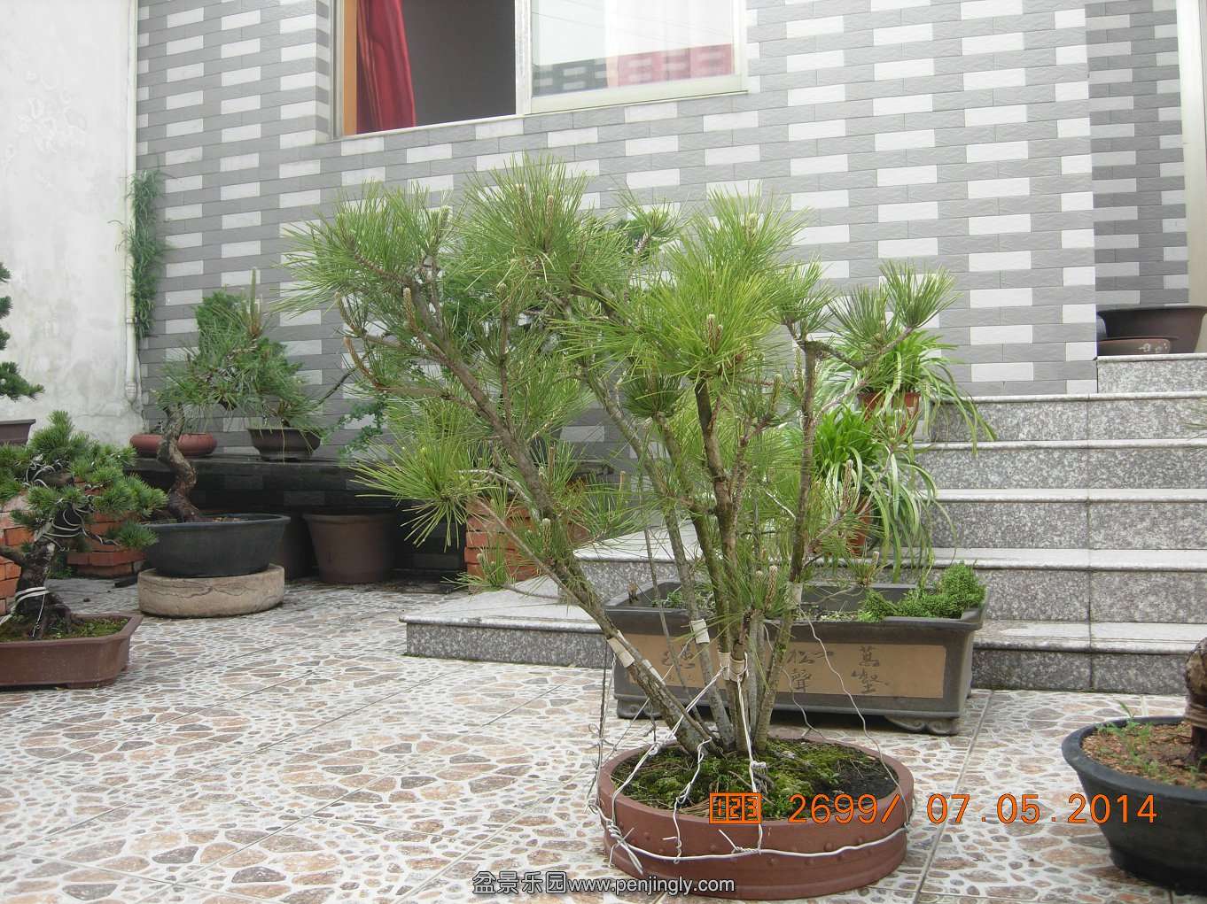DSCN7364.JPG