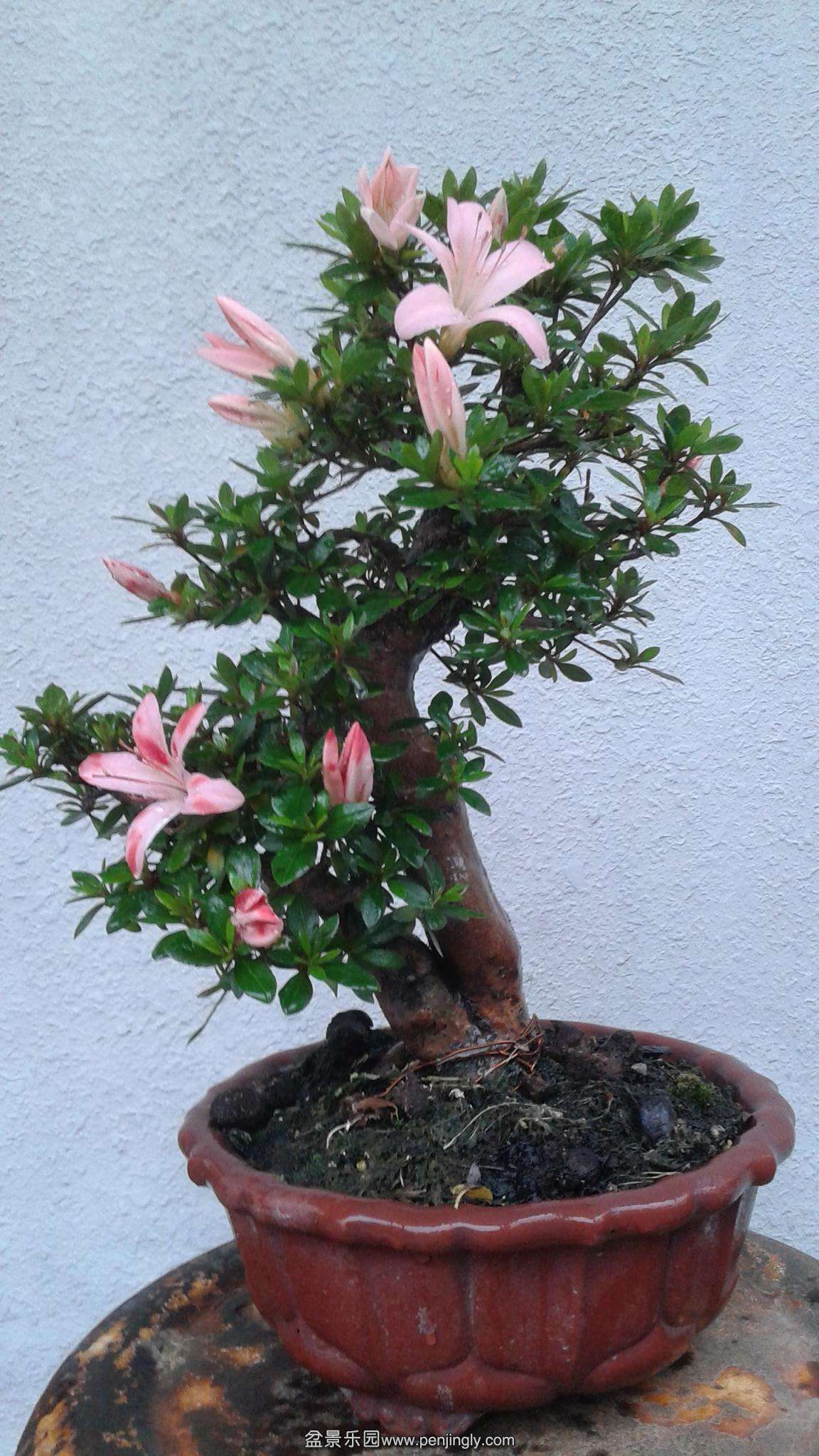 20140504_162209.jpg
