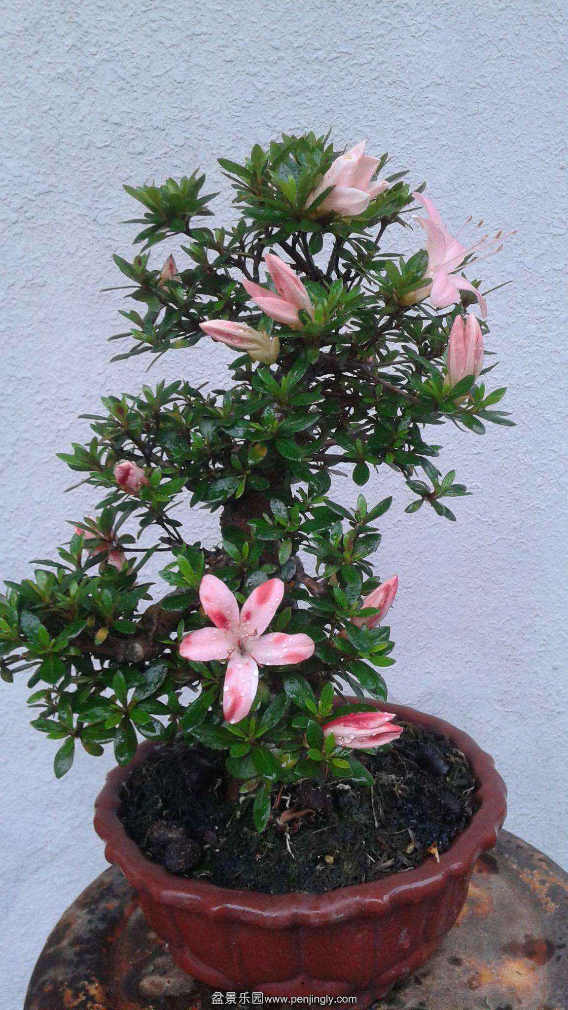 20140504_162218.jpg