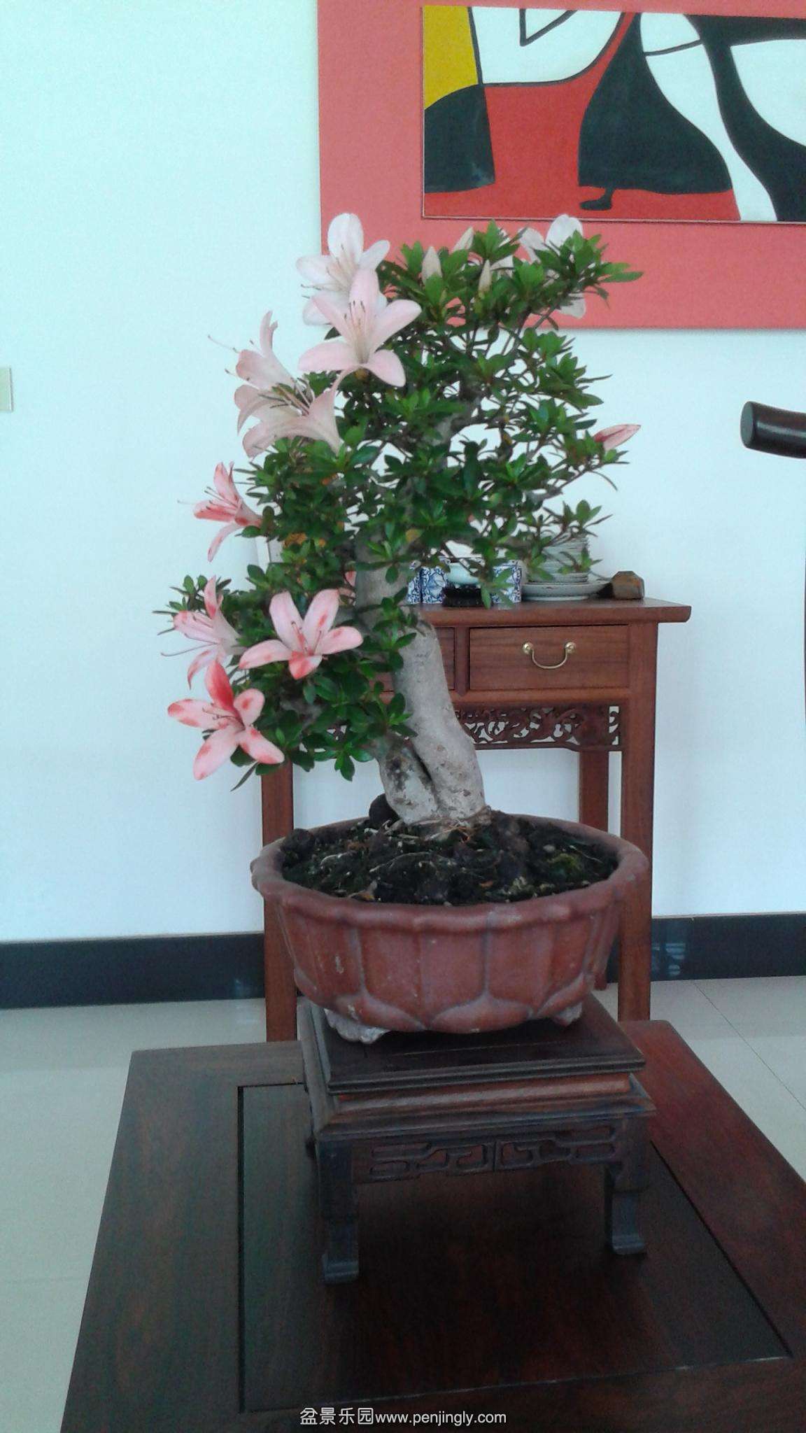 20140506_130141.jpg