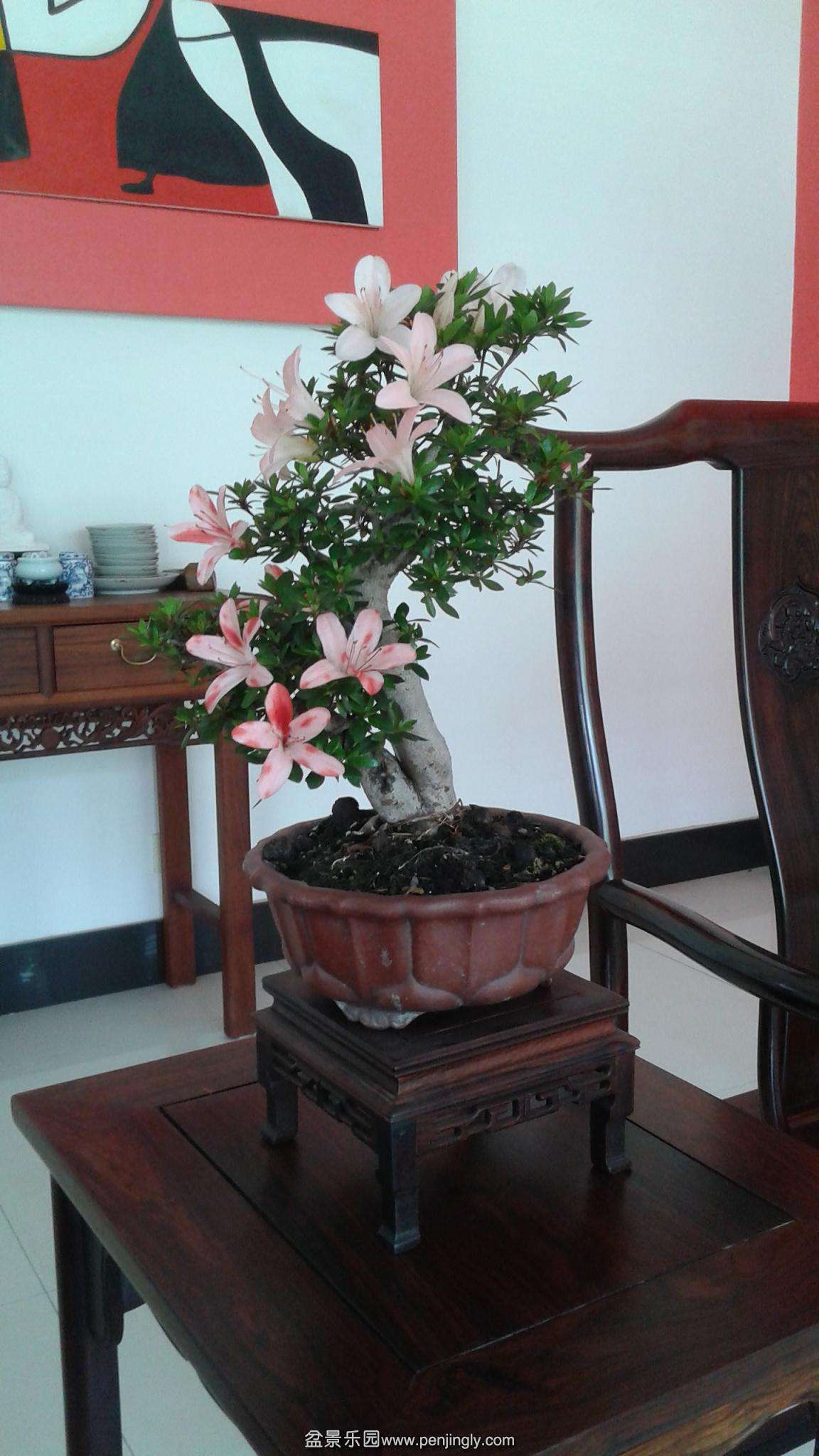 20140506_130145.jpg