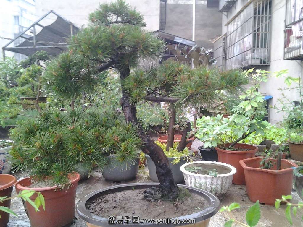 20140510_175237.jpg