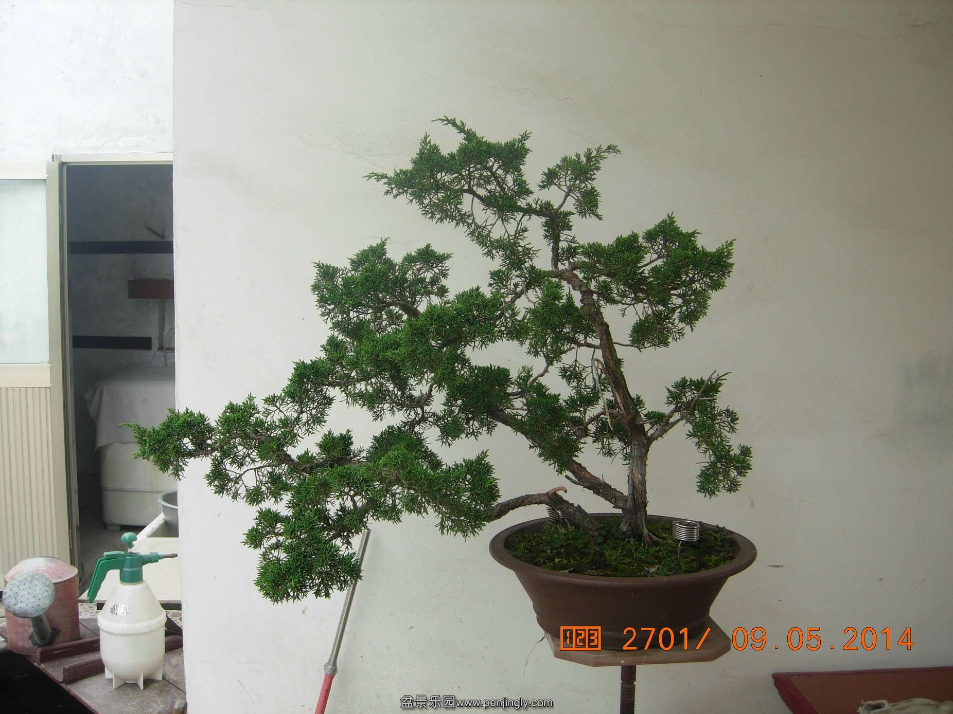 DSCN7413.JPG