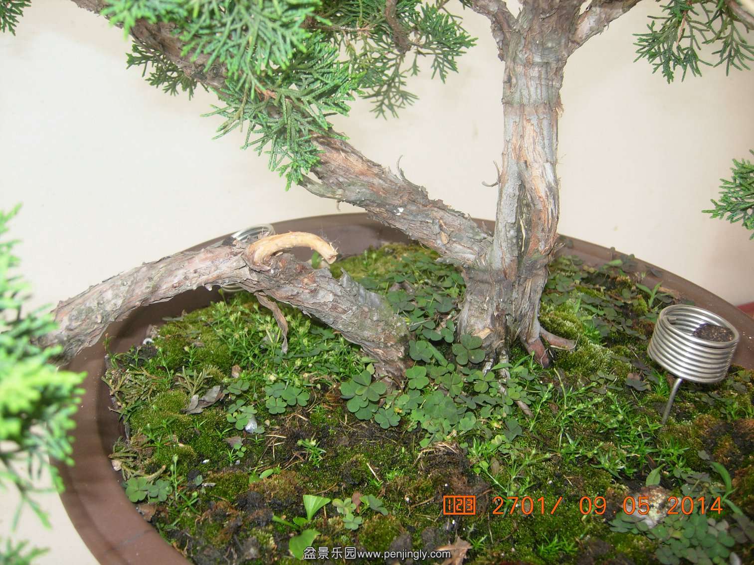 DSCN7416.JPG