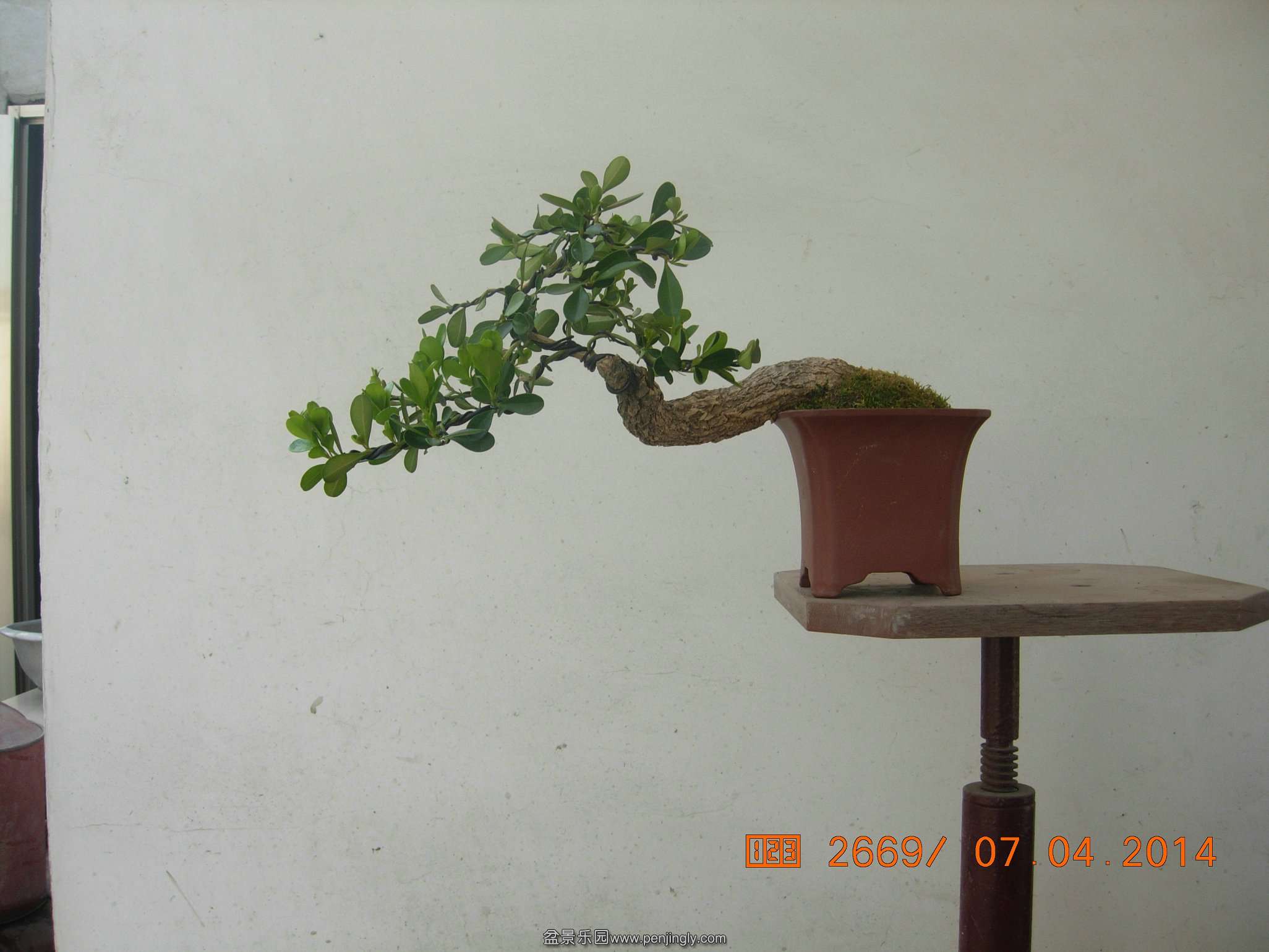 DSCN7331.JPG