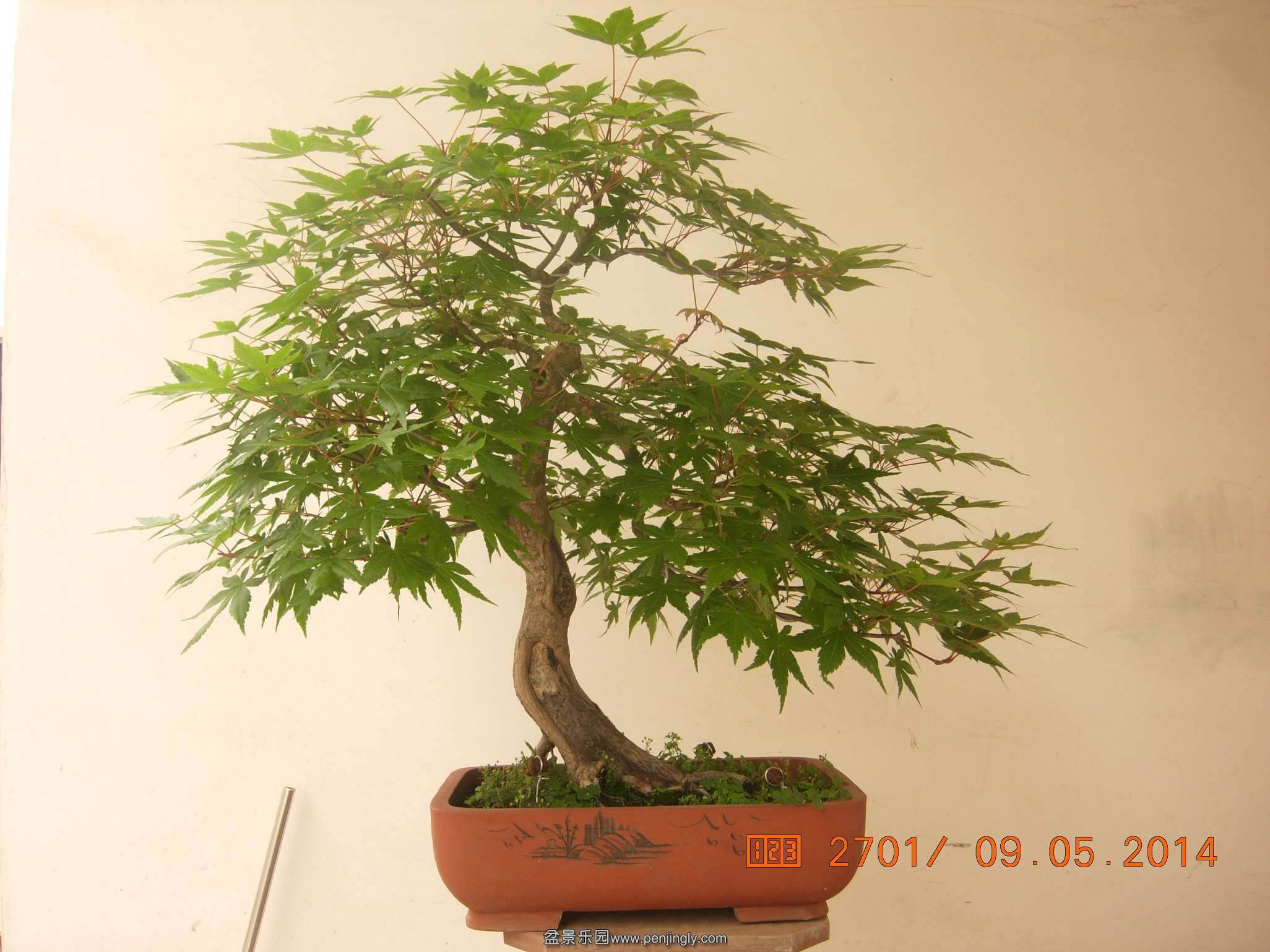 DSCN7404.JPG