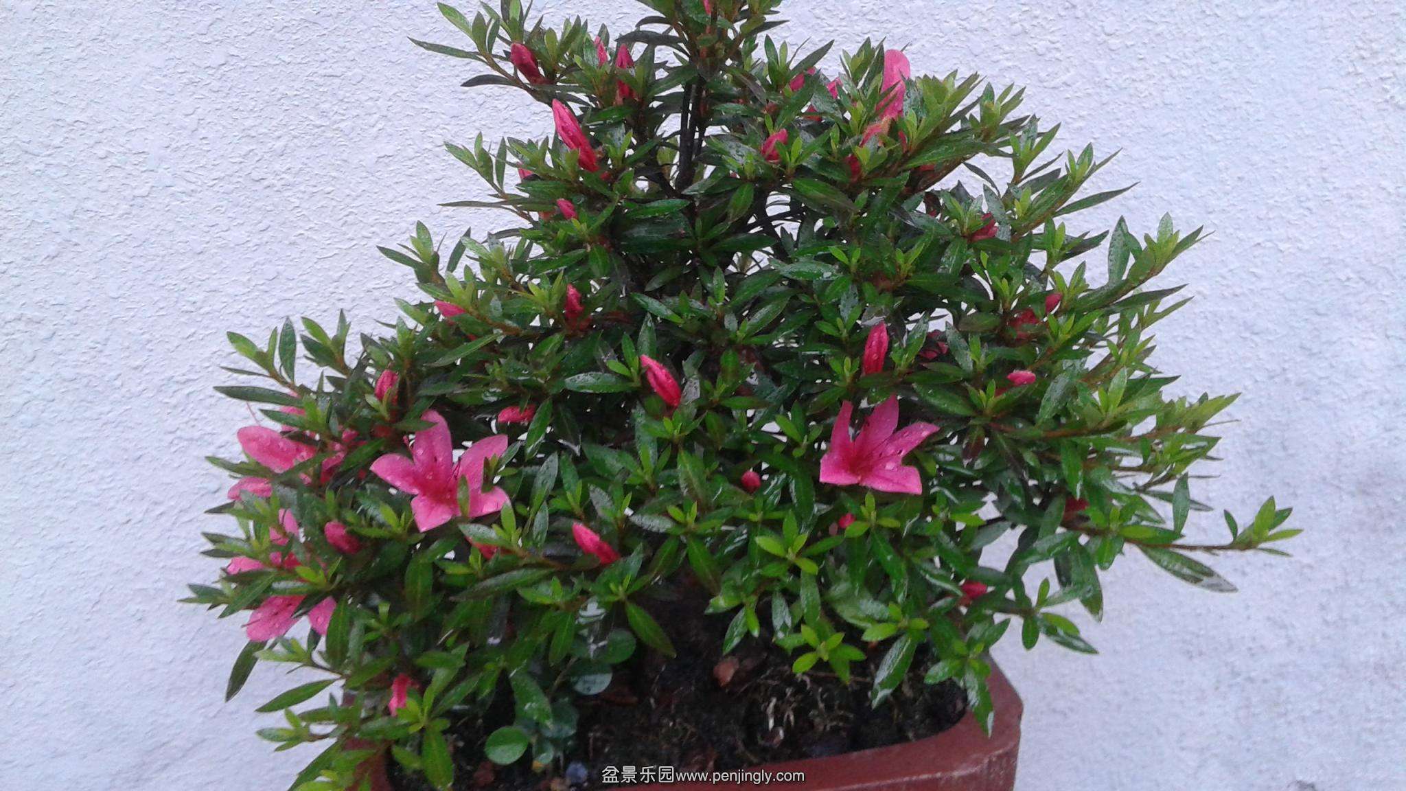 20140504_162506.jpg