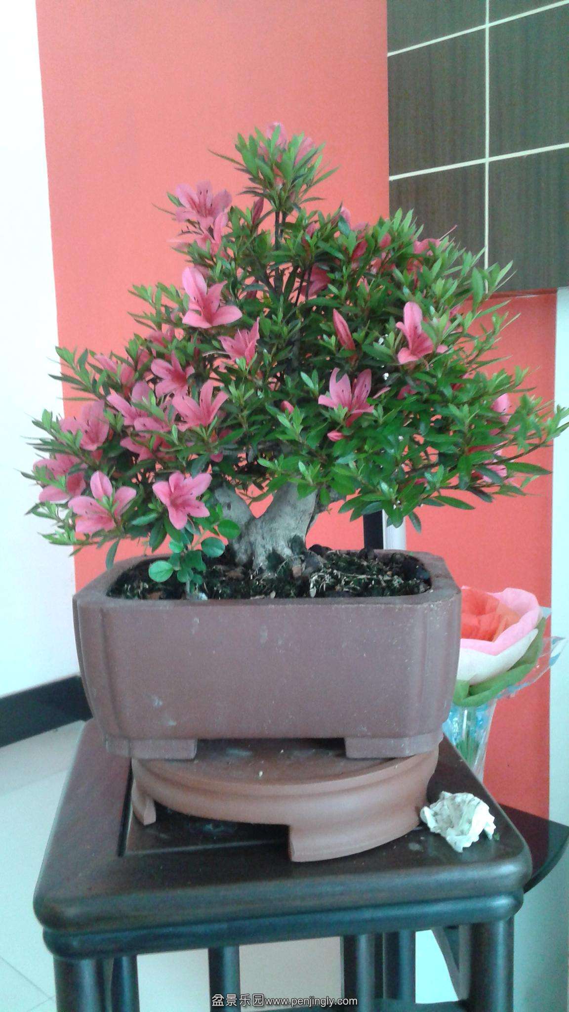 20140506_130156.jpg