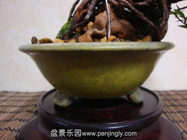 DSC08202.JPG