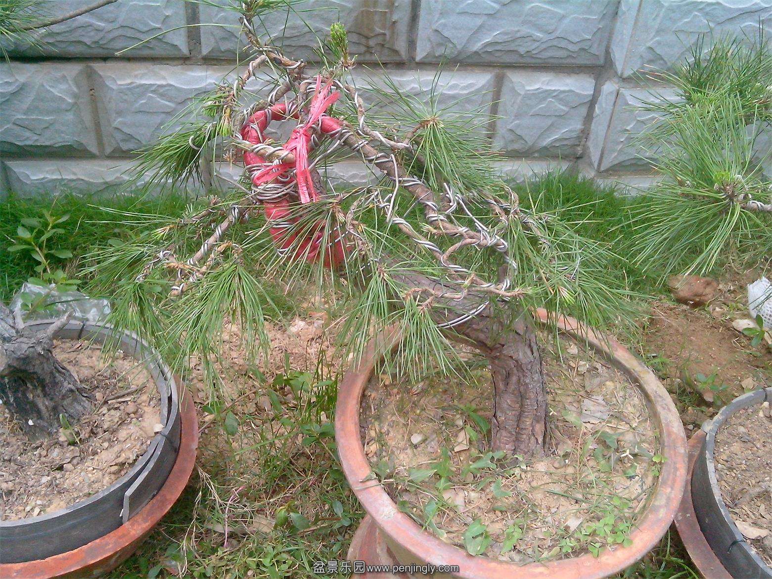 IMG20140512010.jpg