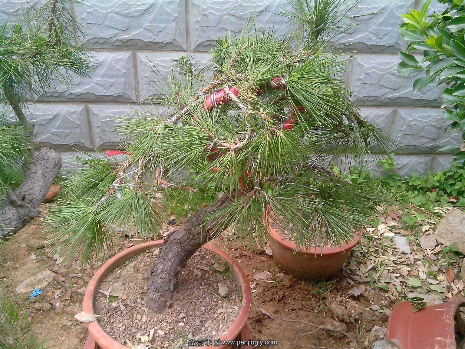 IMG20140512011.jpg