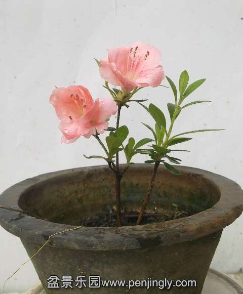 201405122733.jpg