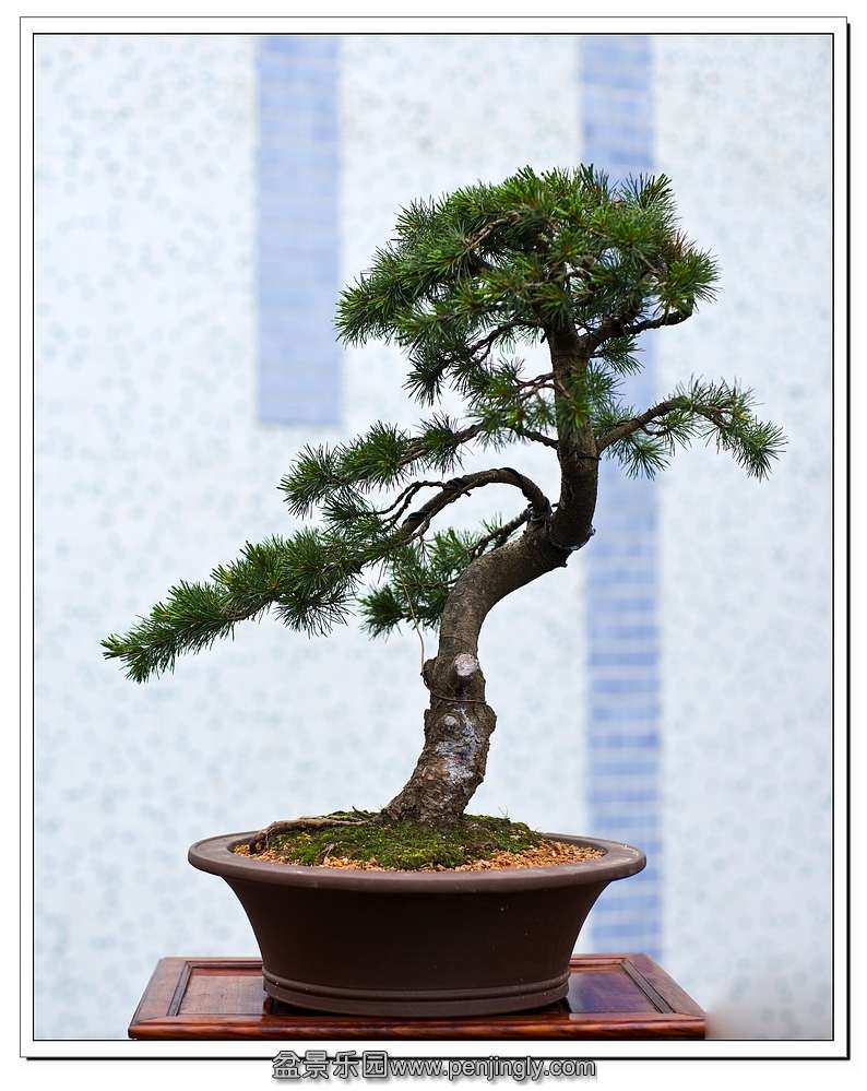 _DSC8023 - 副本.jpg