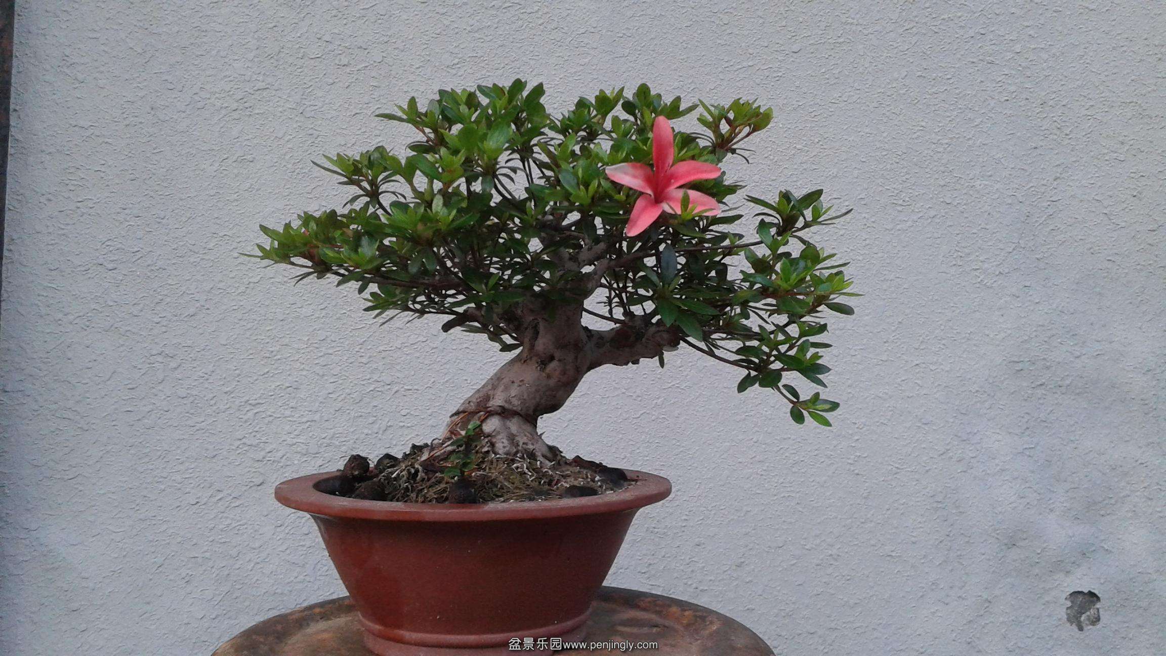 20140427_180359.jpg