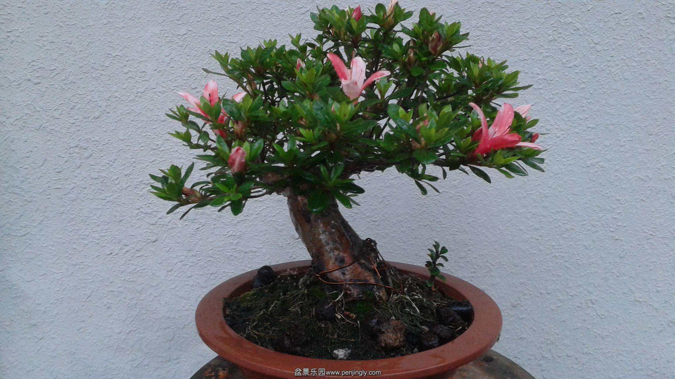 20140504_162308.jpg