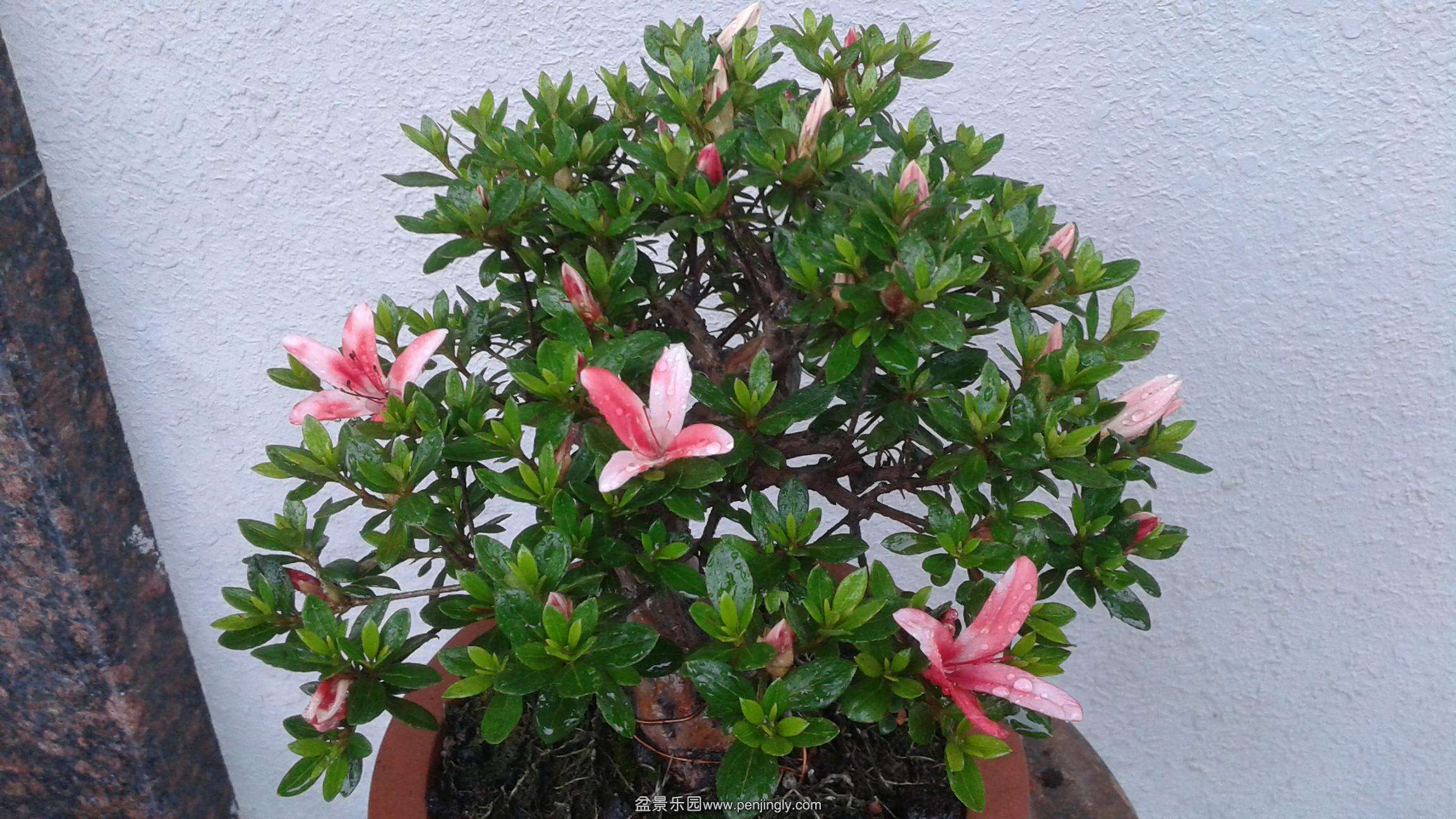 20140504_162315.jpg