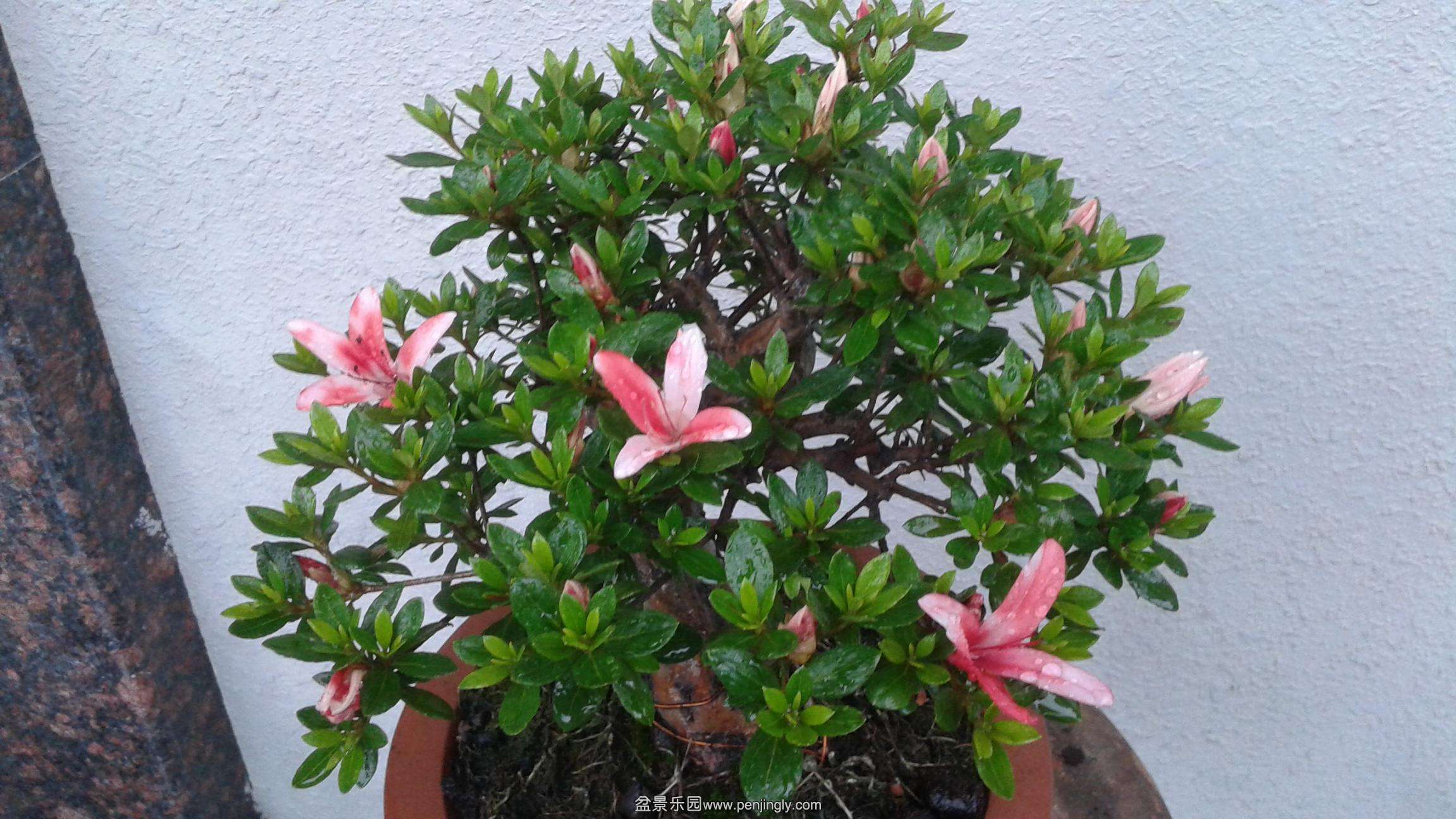 20140504_162318.jpg