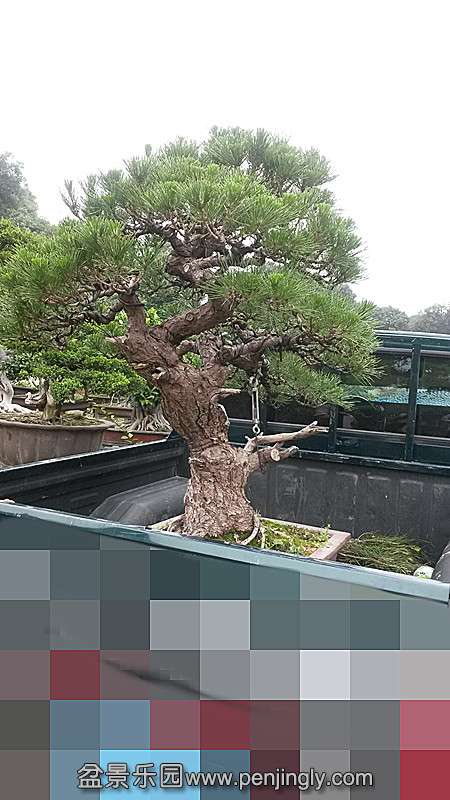 20140513_122253_.jpg