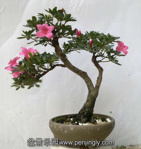 201405142766.jpg