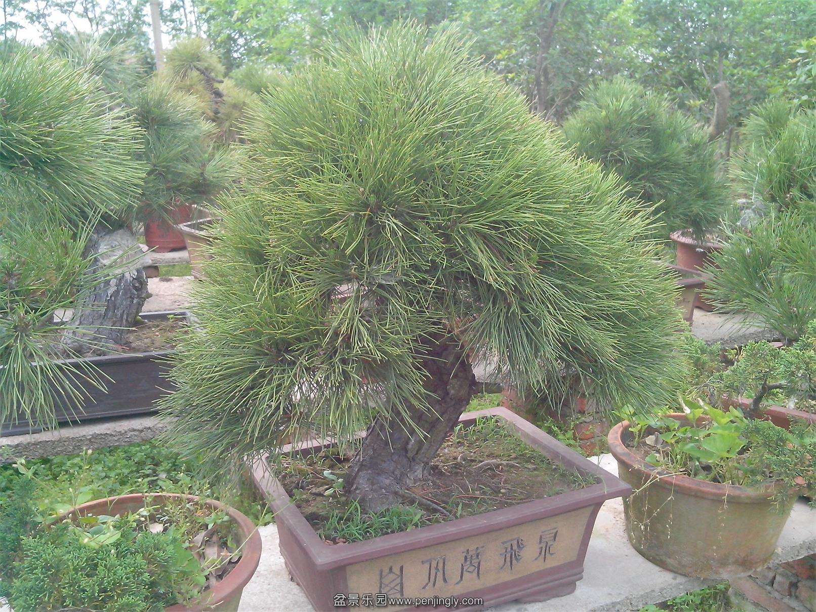 IMG20140512008.jpg