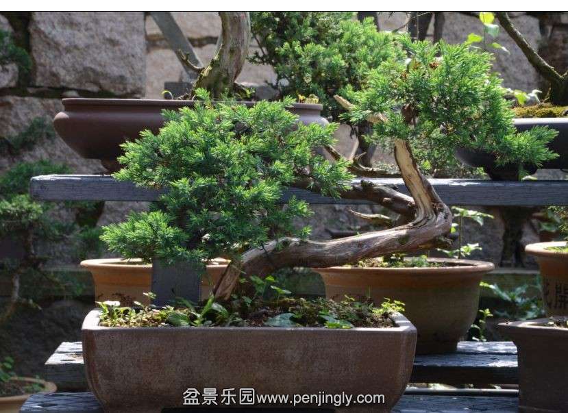 QQͼƬ20140515165243.jpg
