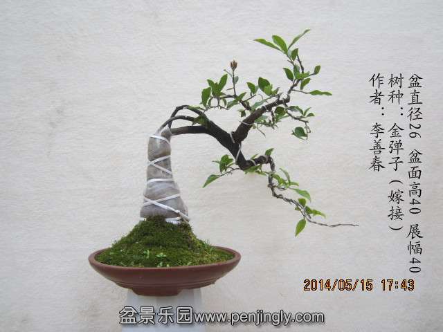 IMG_4619_副本.jpg