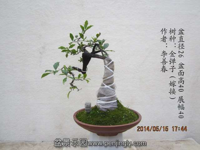 IMG_4622_副本.jpg