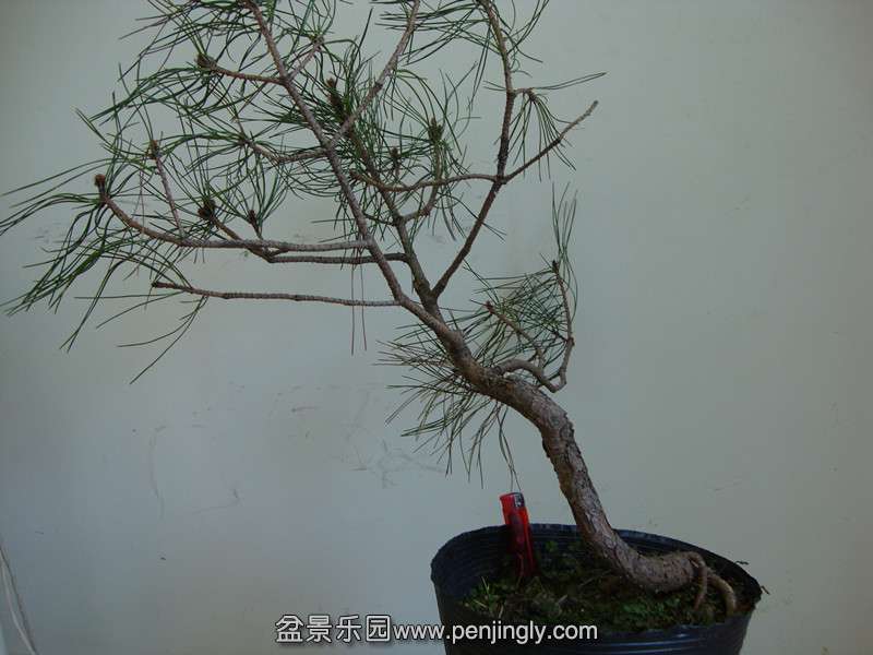 DSC01395_.jpg
