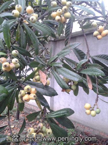 20140516_163051.jpg