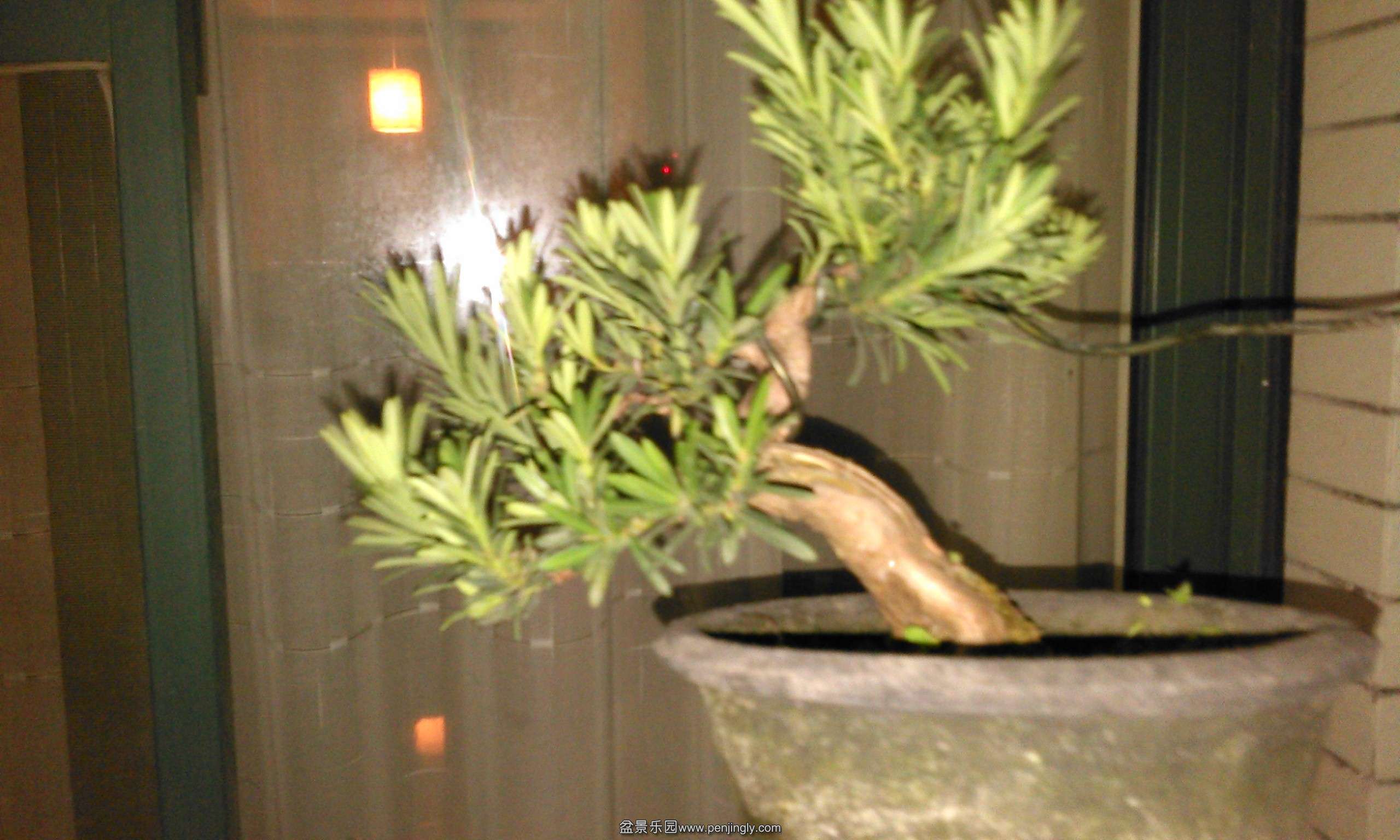WP_20140515_012_conew1.jpg