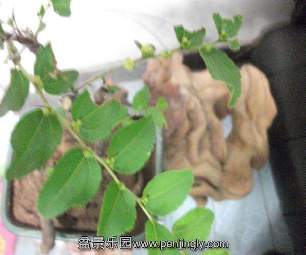 DSCF2553.JPG