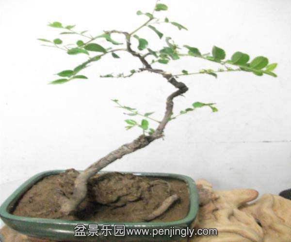 DSCF2543.JPG