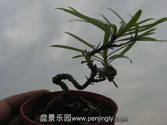 IMG_0035.jpg