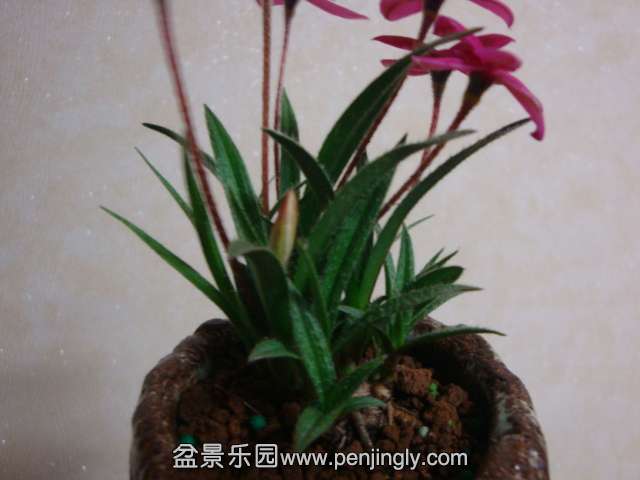 DSC08216.JPG