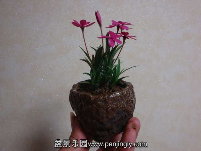 DSC08214.JPG