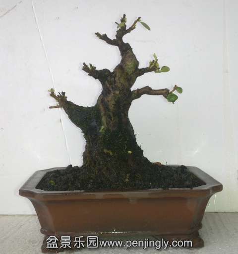 201405172837.jpg