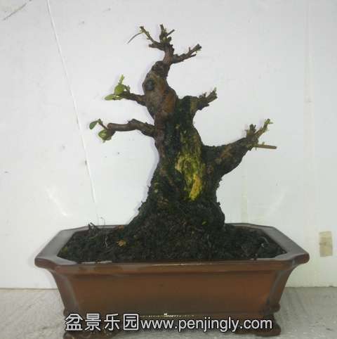201405172839.jpg