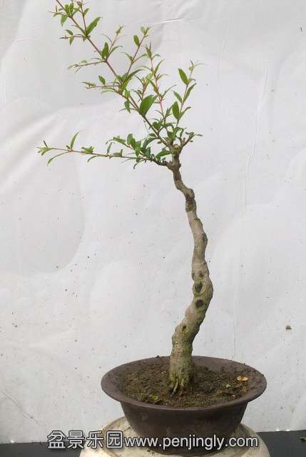 201405172827.jpg