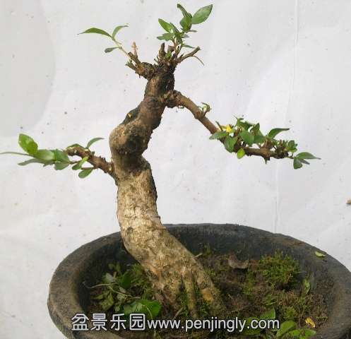 201405172822.jpg
