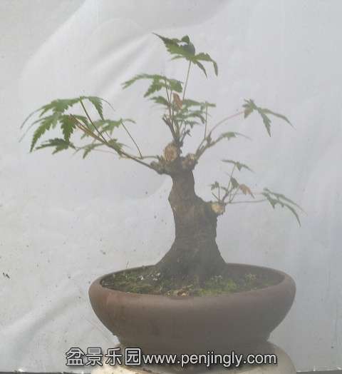 201405172831.jpg
