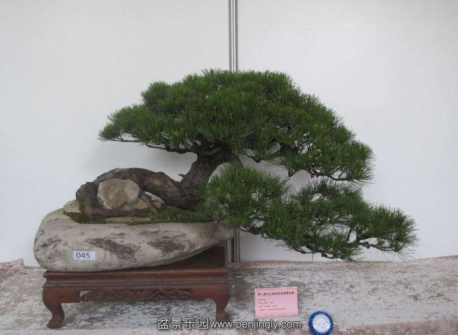 IMG_0263.JPG