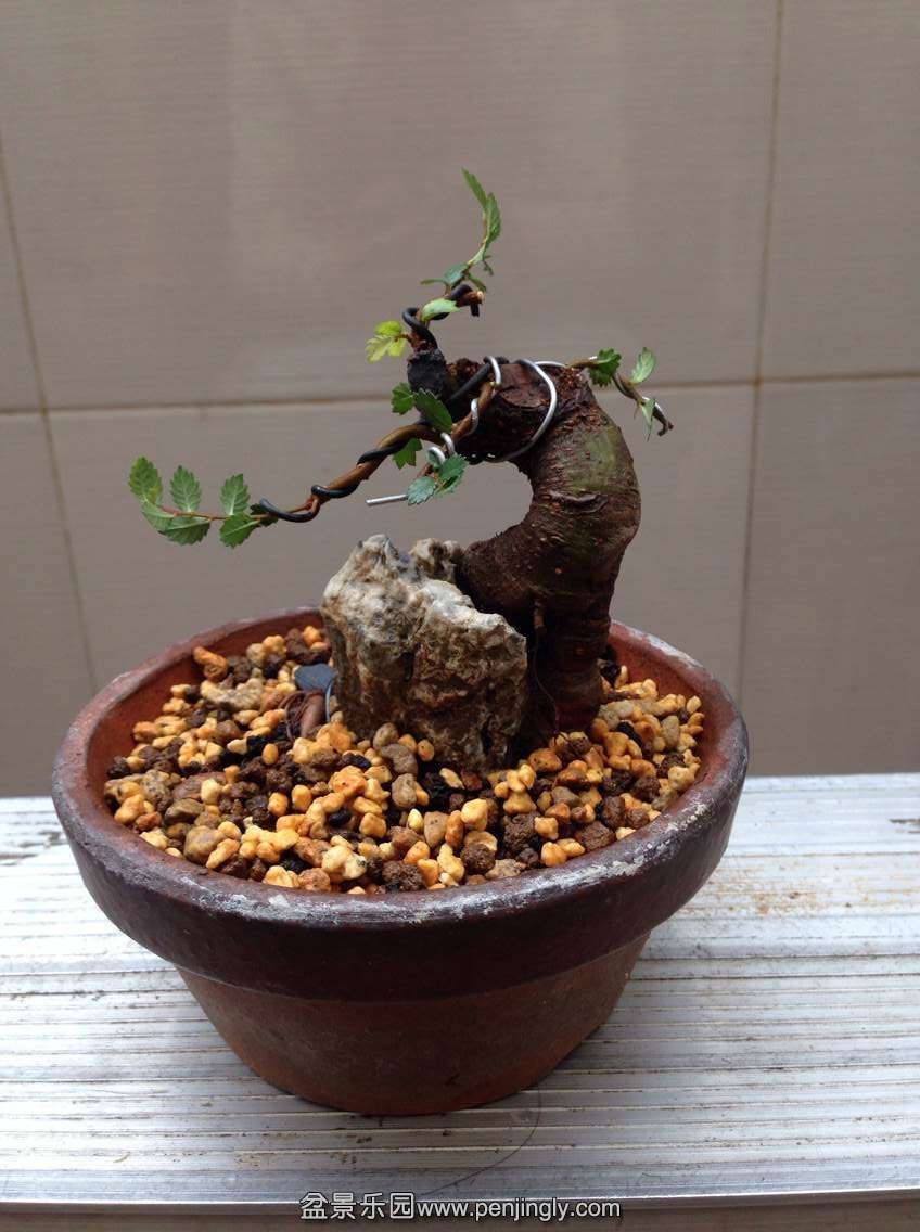 QQͼƬ20140517134226.jpg