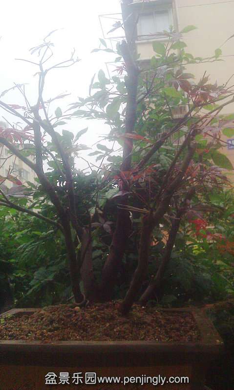 IMAG0151.jpg