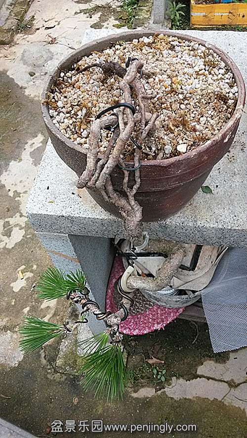 20140517_155609_.jpg