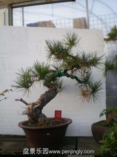 20111014С԰գ1 029.jpg
