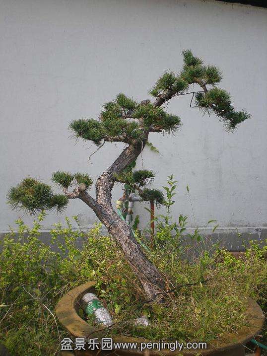 20101017Ƭ 021.jpg