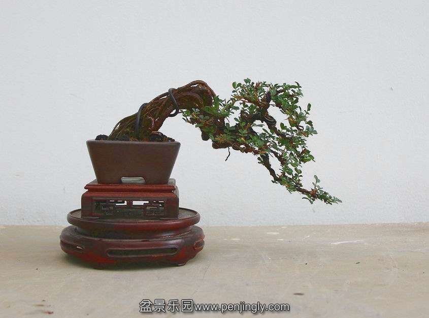 Ƭ 045.jpg