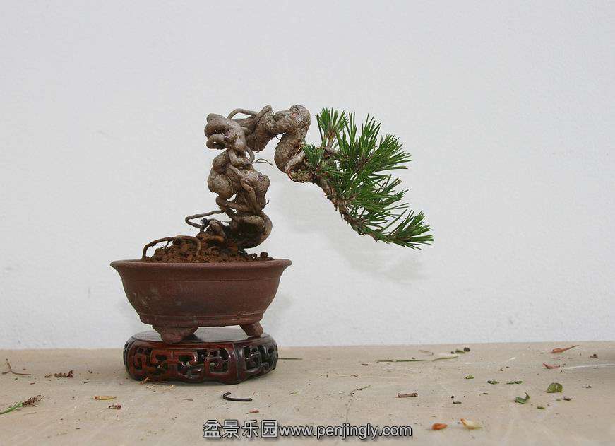 Ƭ 009.jpg